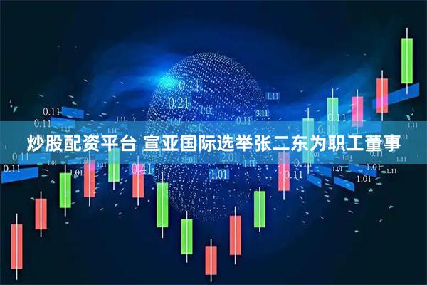 炒股配资平台 宣亚国际选举张二东为职工董事