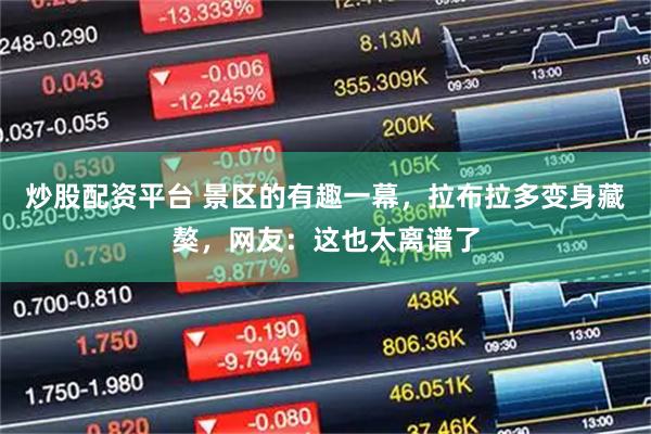 炒股配资平台 景区的有趣一幕，拉布拉多变身藏獒，网友：这也太离谱了